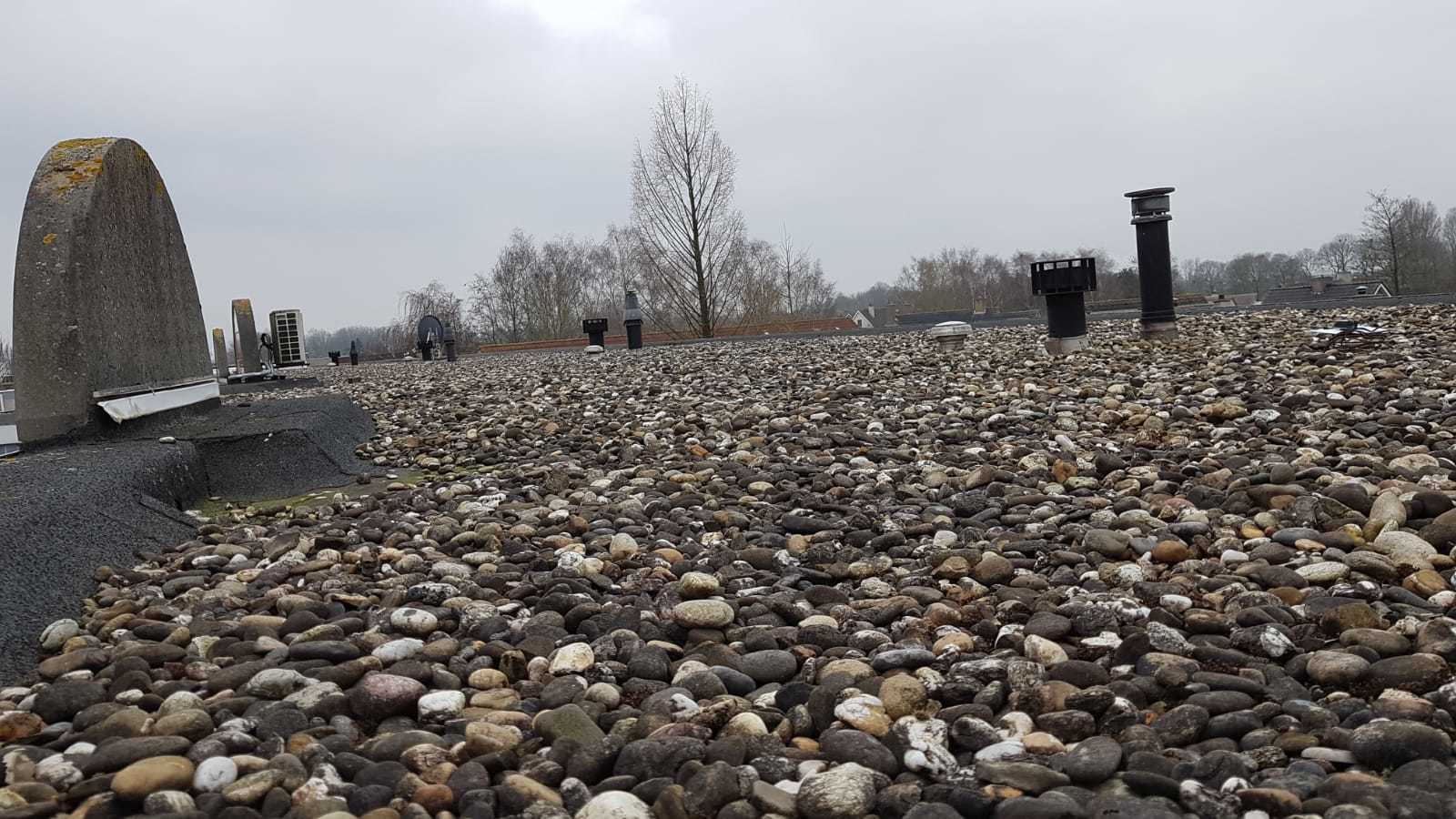 Afbeeldingslocatie: https://tweakers.net/ext/f/HNJZyakEj3zizIKDDx2Vobvy/full.jpg