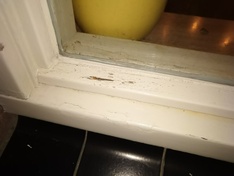 Afbeeldingslocatie: https://tweakers.net/ext/f/HNvvCx0DCFjVksip4d4XOhpT/medium.jpg