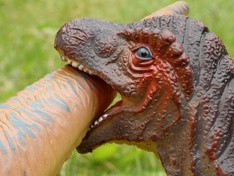 Dino's macro