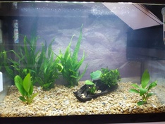 aquarium