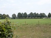 Afbeeldingslocatie: https://tweakers.net/ext/f/Hr5W2g5q6Cn0WD91HWJmclki/thumb.jpg
