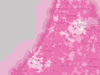 Afbeeldingslocatie: https://tweakers.net/ext/f/HtlnvgDC8ynWKbft4g6r9r7x/thumb.png