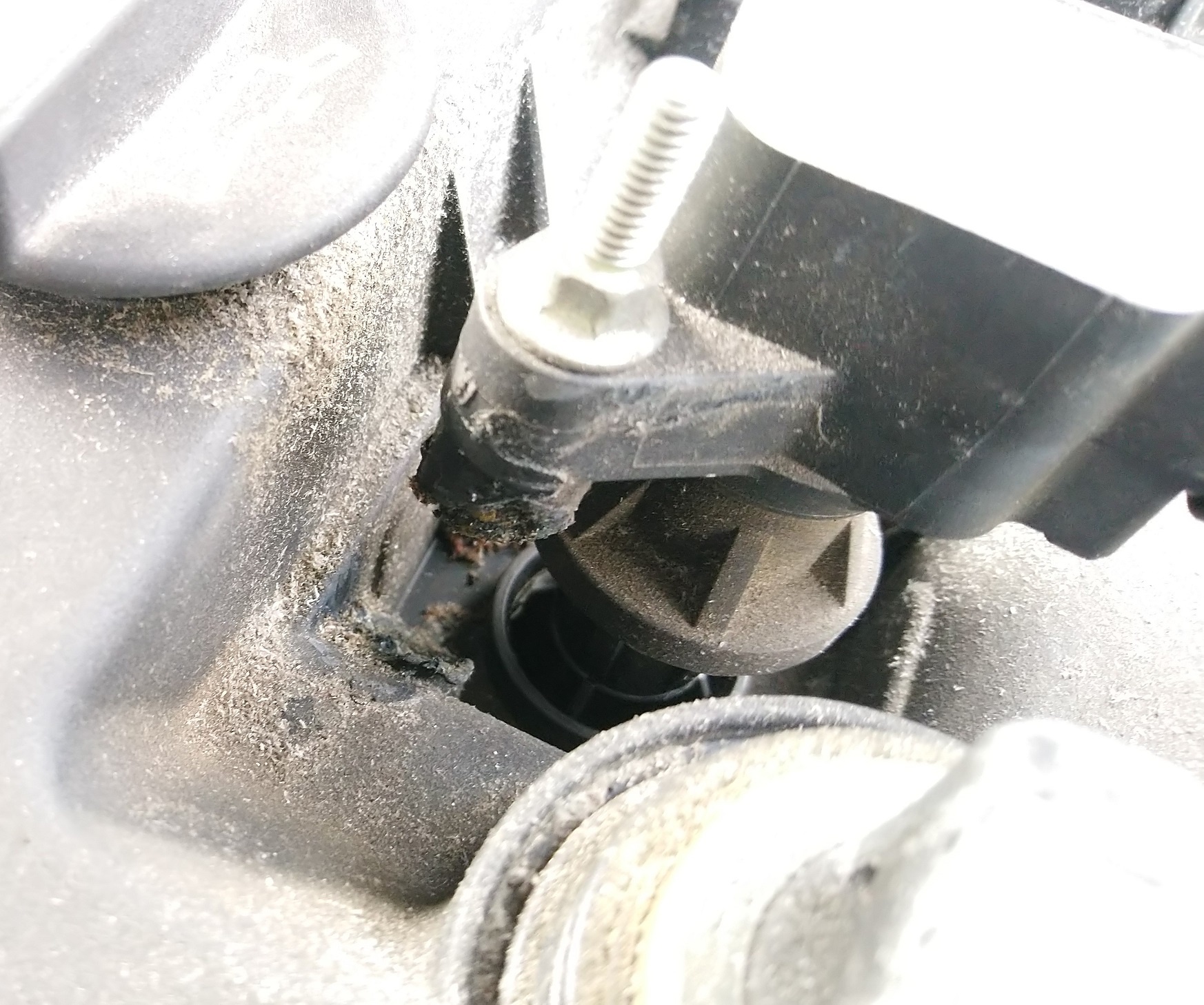 Afbeeldingslocatie: https://tweakers.net/ext/f/IPrt0SDzAhcTlPSxpFU85G6j/full.jpg