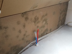 Afbeeldingslocatie: https://tweakers.net/ext/f/IXI5EF6LlKL2qscXJOmo3AtB/medium.jpg