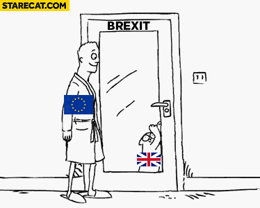 Brexit Cat