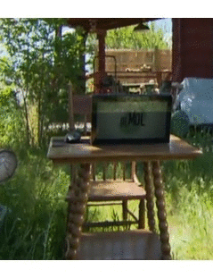 De Mol De Mol