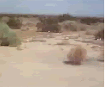 Afbeeldingslocatie: https://tweakers.net/ext/f/IaFtq1QobqBx4pDe9cv1LVLD/full.gif