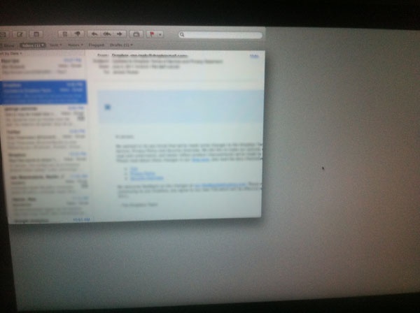 Bug Lion mail 1 Bug Lion mail 1