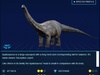 Apatosaurus Apatosaurus
