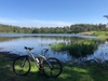 Afbeeldingslocatie: https://tweakers.net/ext/f/J4NmzujN8vvpxxiwDYfwxtqf/thumb.jpg