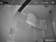 Wyze app - Camera full screen