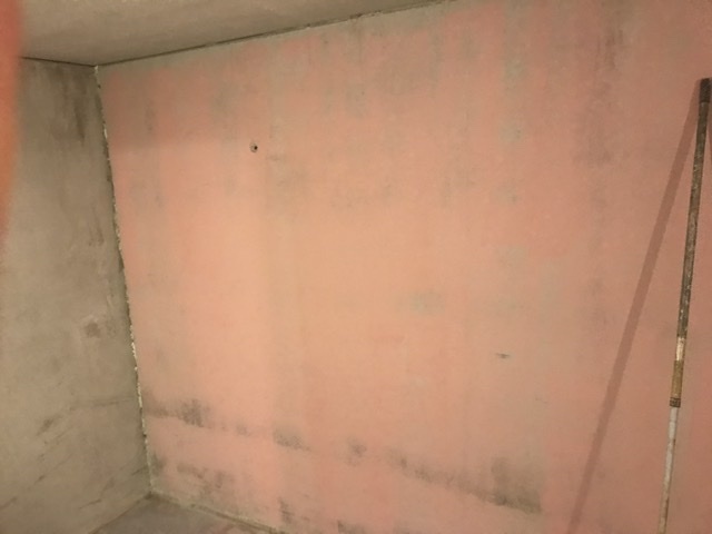 Sop3
