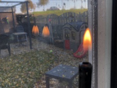 Afbeeldingslocatie: https://tweakers.net/ext/f/JfGvcLburEzQNo2mqCTSSGkx/medium.jpg