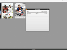 Fifa 13 PC Update issue 2