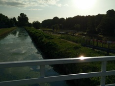 Veel tegenlicht