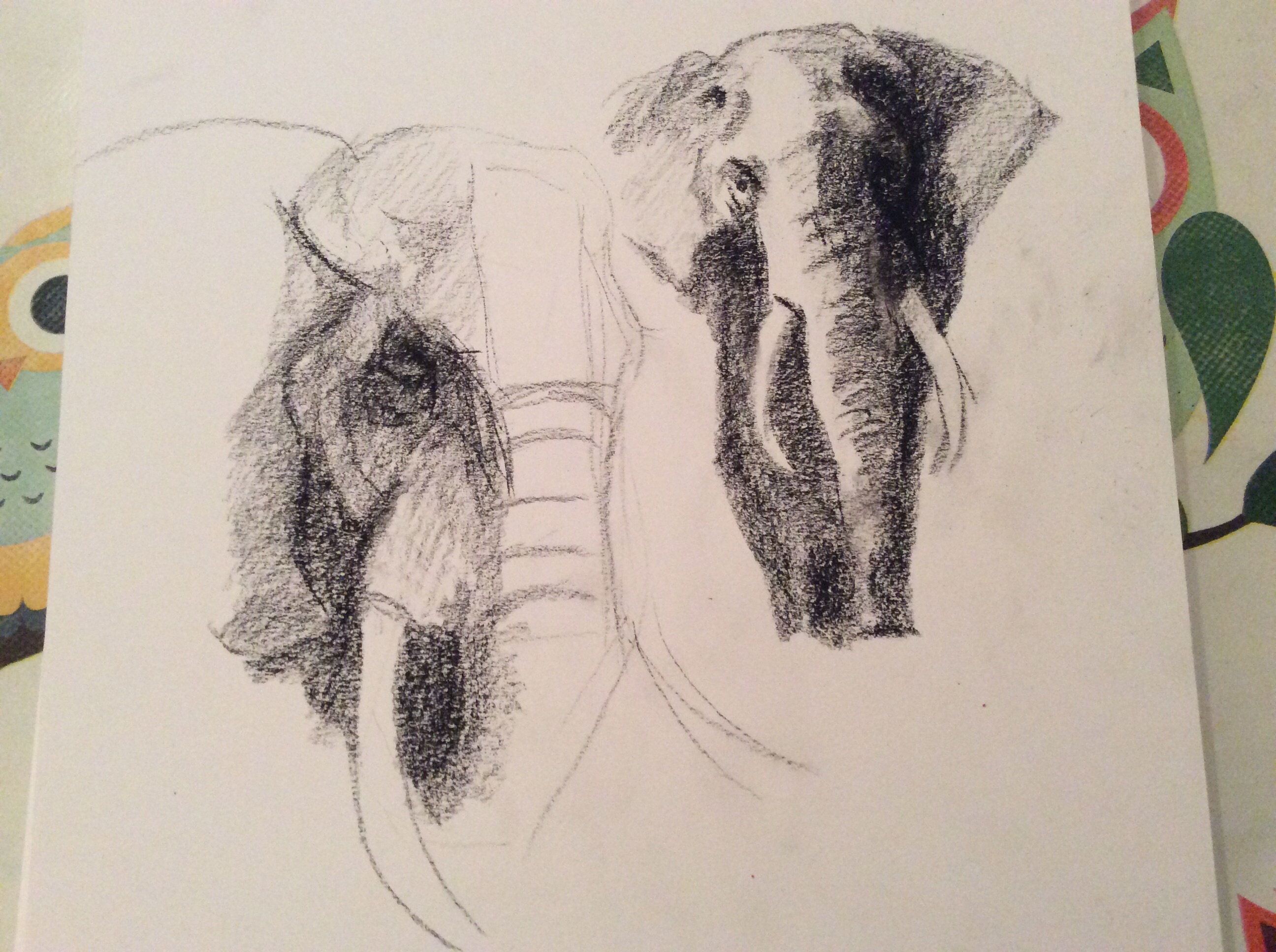 Olifant2