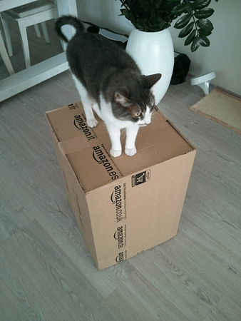 Afbeeldingslocatie: http://tweakers.net/ext/f/LJHSahwFZFn8eOjV09iUw8zM/full.png