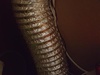 Afbeeldingslocatie: https://tweakers.net/ext/f/LJW2zdGNDlwS7xA3vzieNCol/thumb.jpg