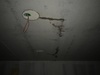 Afbeeldingslocatie: https://tweakers.net/ext/f/Ljyar86KiQ5rjVl52hXkhARw/thumb.jpg