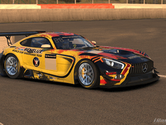 17S3 24h GoT Team Livery 1