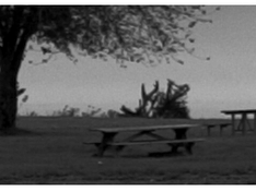 zwart-wit foto fragment bron