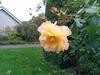 Afbeeldingslocatie: http://tweakers.net/ext/f/MQ1txBEgHygz9i85ivlO1WaW/thumb.jpg