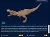 Tyrannosaurus Rex Tyrannosaurus Rex