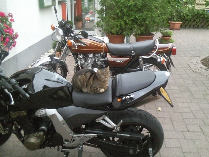 Afbeeldingslocatie: http://tweakers.net/ext/f/Mc4IvtagYcgTJJYSOXHHeTka/full.jpg