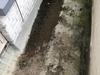Afbeeldingslocatie: https://tweakers.net/ext/f/MmdWgT2lRShwXNgOMG1XxpKU/thumb.jpg