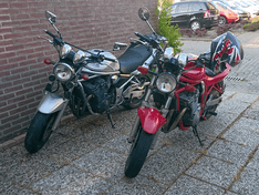 Duo_Bandit Duo_Bandit