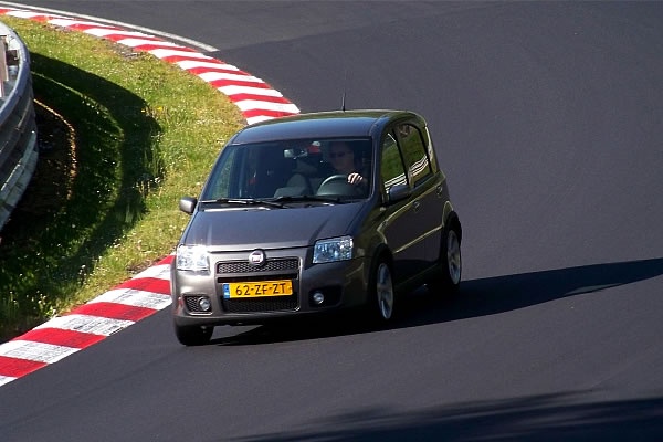 Panda am Ring