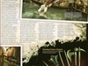 Game Informer - AC-artikel 6