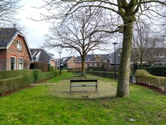Afbeeldingslocatie: https://tweakers.net/ext/f/NvsF6vtkE2YZX6dyoQtZfJ4L/medium.jpg