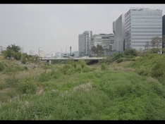 Korea