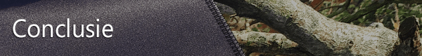 https://tweakers.net/ext/f/OUlsRI9Lc2InLlDaN3tB0OXx/full.png