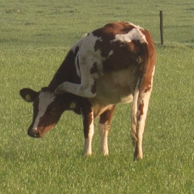 Afbeeldingslocatie: http://tweakers.net/ext/f/OYYeiJd287nc7EOF68pA3nzu/full.jpg