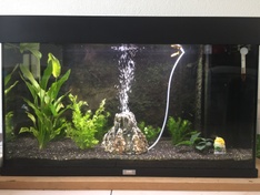 Afbeeldingslocatie: https://tweakers.net/ext/f/P09J292orWFmHHlRCOUzc8un/medium.jpg