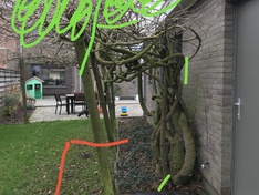 wysteria 1.2