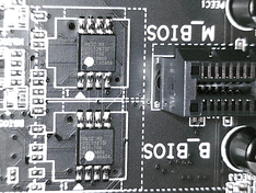 Hoofd Bios