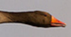Afbeeldingslocatie: http://tweakers.net/ext/f/PH3zaKyTMc6aK4c4XeOweDkD/full.jpg