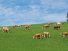 Afbeeldingslocatie: http://tweakers.net/ext/f/PMbImpghp4qGTnzGLrHe3soo/thumb.jpg