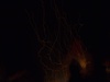 Afbeeldingslocatie: http://tweakers.net/ext/f/PPZ43HStEz25w8kTCNIxdfIU/thumb.jpg