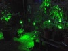 Lightify tuin 3