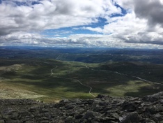 Prestholtskarvet