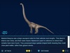 Mamenchisaurus Mamenchisaurus