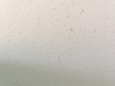 Renovlies detail2