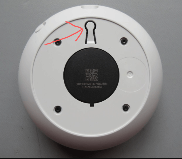 HomeMini