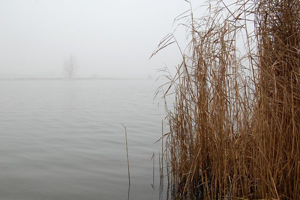 Afbeeldingslocatie: http://tweakers.net/ext/f/PhtolIiOwuEZKqf8zRvppgWI/full.jpg
