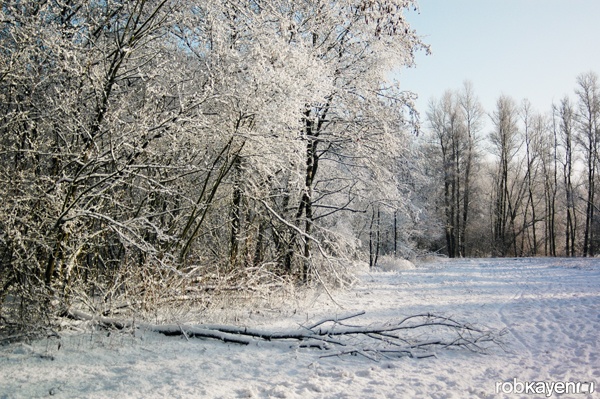 Afbeeldingslocatie: http://tweakers.net/ext/f/QDU0yAj0zdJIf0zs2y1HC8FL/full.jpg
