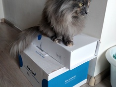 Afbeeldingslocatie: https://tweakers.net/ext/f/RUdsXF4vHf68kJHrmd767Yvl/medium.jpg
